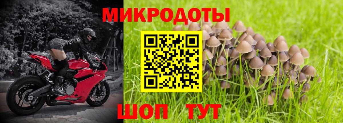 Галлюциногенные грибы Psilocybine cubensis Ишим